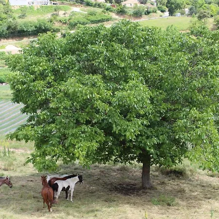 Chateau Du Grand Jardin 3*