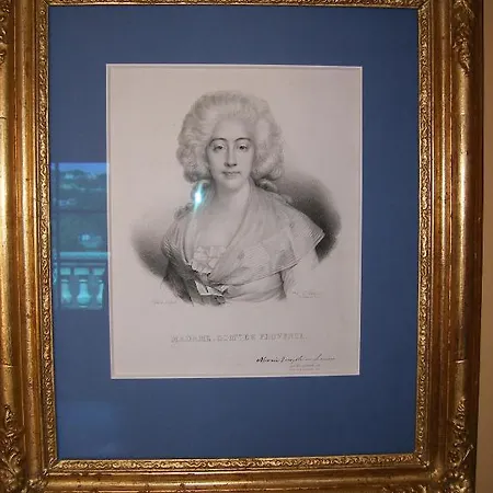 Chateau Du Grand Jardin ベッド・アンド・ブレックファスト ヴァロンソル