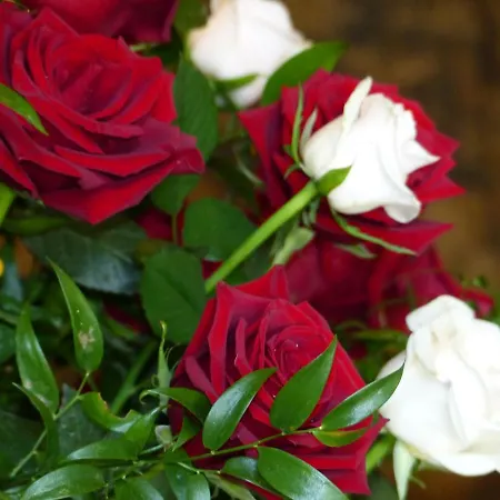 Chateau Du Grand Jardin ベッド・アンド・ブレックファスト ヴァロンソル