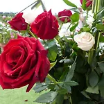 Chateau Du Grand Jardin 3*