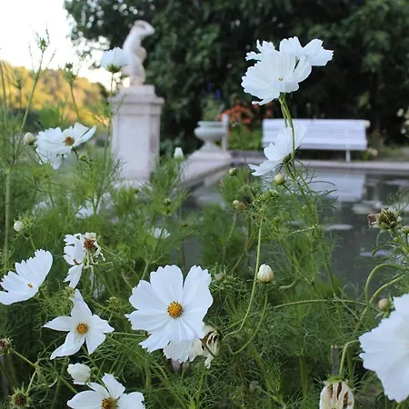 Chateau Du Grand Jardin Valensole