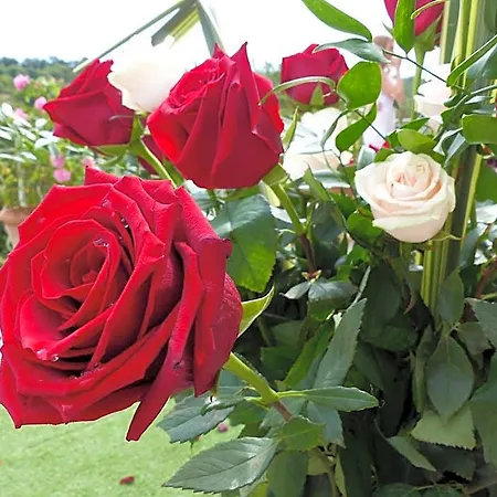 Chateau Du Grand Jardin Valensole
