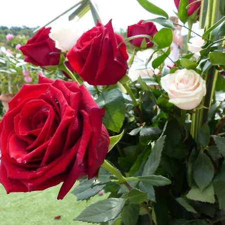 Chateau Du Grand Jardin 3*