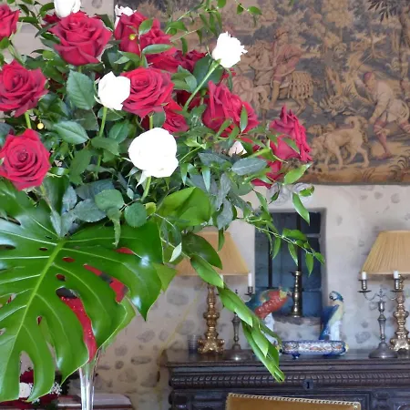 Bed & Breakfast Chateau Du Grand Jardin *
