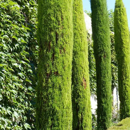 Bed & Breakfast Chateau Du Grand Jardin