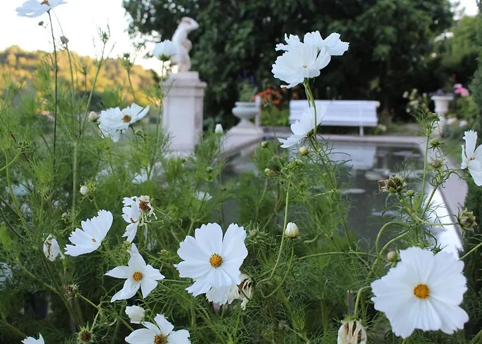 Chateau Du Grand Jardin Valensole