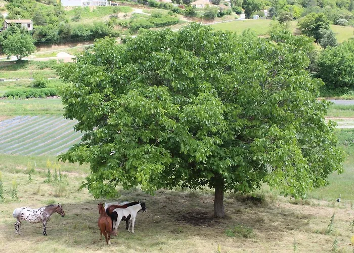 Chateau Du Grand Jardin 3*