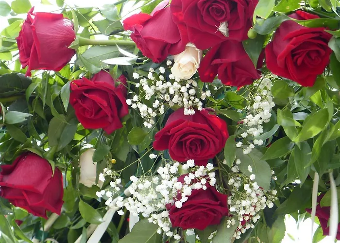 Chateau Du Grand Jardin