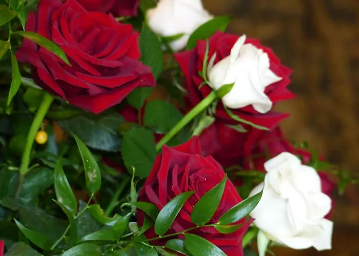 Chateau Du Grand Jardin Bed & Breakfast Valensole