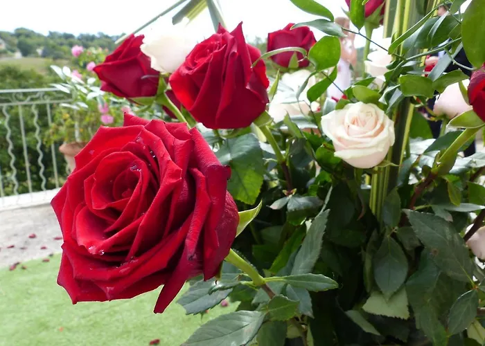 Chateau Du Grand Jardin 3*