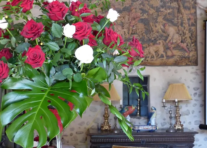 Bed & Breakfast Chateau Du Grand Jardin 3*